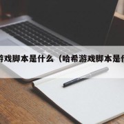 哈希游戏脚本是什么（哈希游戏脚本是什么意思啊）