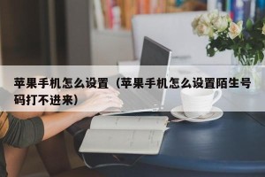 苹果手机怎么设置（苹果手机怎么设置陌生号码打不进来）